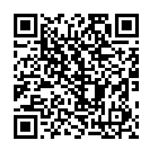 唯有那后羿和夸父开辟出来的传送门才是真正的宝库入口二维码生成