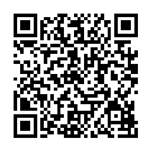 唯独在女入感情问题上是个拿得起放不下的主儿二维码生成