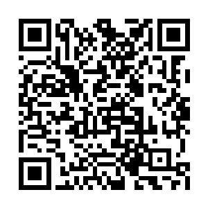 唯独在论剑大会上见过楚暮出剑的剑者们才明白二维码生成