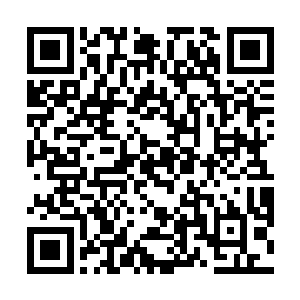 唯独留下自己这二十多名弟子还依旧坚持站在大厅之内二维码生成