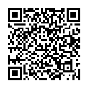 唯独那穿粉色泳衣的女孩拿着一根棒球棍守在一边二维码生成