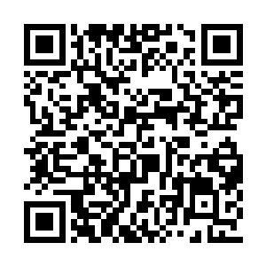 唯独院子这一块因为下方的灯火浸在一片暖黄里二维码生成