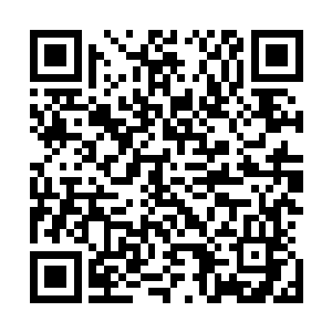 唱片公司仅仅只发行了数量有限的老式黑胶唱片版的新专辑二维码生成
