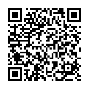 唱片公司已经迫于压力准备发行这张专辑的cd和卡带版本了二维码生成