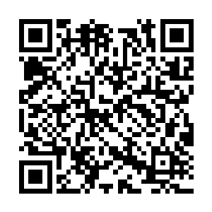 啃得面目全非……这完全不像牧民们常养的牧羊犬二维码生成