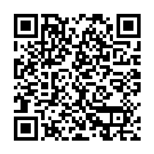 商务部方面和国际竹藤组织以及荷兰方面都有一些计划二维码生成