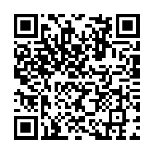 商品开始从单一的卫生巾转型为多元化的产品阵线二维码生成