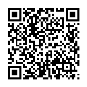 商蕊完全不知道自己此刻的举动得到了别人的好感二维码生成