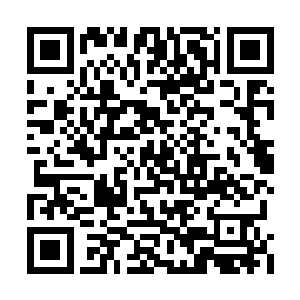 商蕊有些爱不释手的抚摸着手里的赤金衔珠步摇二维码生成