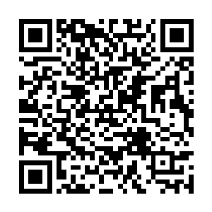 商量了一下一会吃饭时该如何在众人面前演一出戏二维码生成