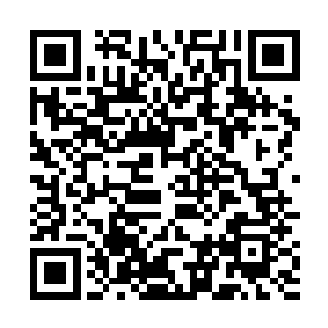 啊……血之印记……你是血祭大阵中的逃亡者……该死二维码生成