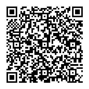 啊原来这些衣服都是酒店准备的啊京城还有这样的酒店啊难怪刚刚那个前台的姐姐说这个房间是最好的了二维码生成