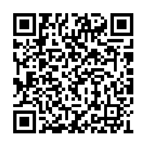 啊啊啊……我……我……你敢动我……鬼圣……二维码生成