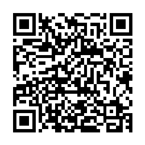 啊喂你一边毒舌嫌弃我一边往树丛里移动暗示我到底是要闹哪样二维码生成