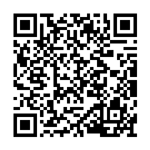 啪啪的骰子敲击骰盅的声音清脆无比地响彻起来二维码生成