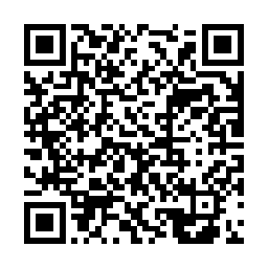 喀秋莎使劲拉巴克的耳朵破坏这种温情脉脉的局面二维码生成