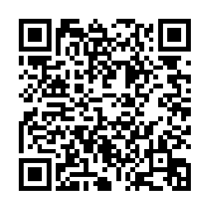 喂喂……如此说来……刚才被我一招干掉的家伙挺强啊二维码生成