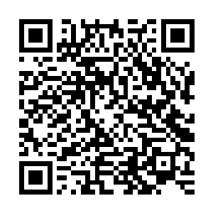 喋喋不休的向吴岩献宝似地讲着大旗上绣的鲲鹏圣象图案的事情二维码生成