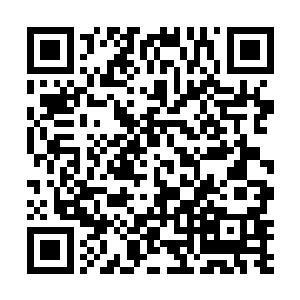 喜欢哪个龙族美女你就去搞定搞不定有老大我给你做主二维码生成