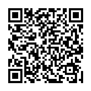 喜欢学院生活的叶星和萨宇特地在第二天就回来给学生上课二维码生成