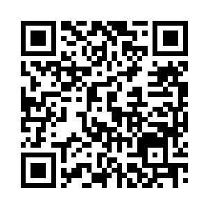 喜欢父子互动的龙战也不再故意摸索着去逗二维码生成