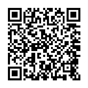 喜欢的爽文的兄弟们可以在下个月订阅支持一番二维码生成