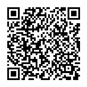 喜欢骑在公象背上的梁楫早就给自己心爱的战象牙齿上装了两把巨大的尖锥二维码生成