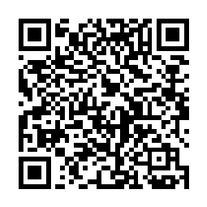 喜爱用新产品的潘德拉更换保姆机器人的次数非常频繁二维码生成