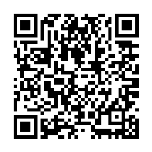 喜臻只觉得自己的全身都被他的吻和他的手带动着二维码生成