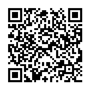 喧嚣了一天的繁华京城在夜里算是稍微安静了少许二维码生成