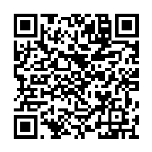 嗖嗖……龙宇倒是险之又险的躲避开了这些血芒二维码生成