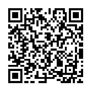 嗖嗖之声不断琴音不停心底酷寒更甚气龙瓦解但狂风吹到了阮二维码生成