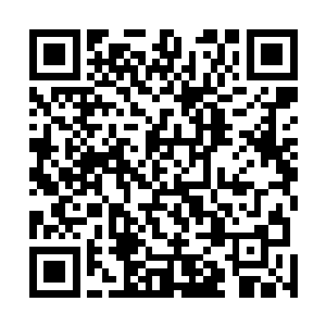 嗖嗖嗖的对准了对面徐蛴螬的一干弟子什么的激射了过去二维码生成