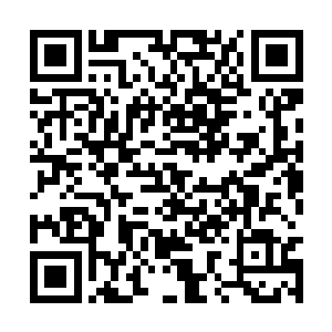 嗜血虾在感受到小家伙的攻击以后立刻就飞了起来二维码生成