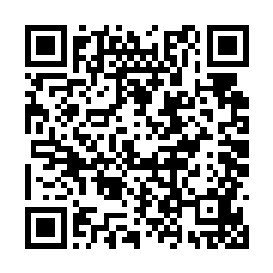 嗯……我明白了……既然我和队员们是一起用的药二维码生成