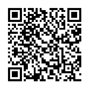 嗯……要是我赢了嘛……同样赠与封寮主中品法宝一件二维码生成