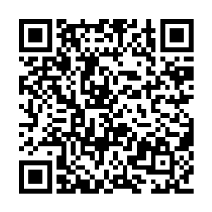 嗯……这个强度……用岚脚怕是抗不下来啊……二维码生成