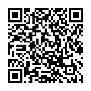 嘉德等人可不会傻到让实力不明的敌人在王宫里战斗二维码生成