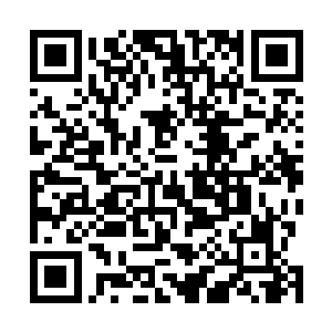 嘉隆帝就将手里一匣子大小浑圆一致的珍珠塞给了宓昭仪二维码生成