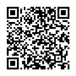 嘉靖帝要崇祀自己已经过世的亲爹兴献王朱佑杭二维码生成