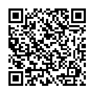 嘲笑她一个女人居然会布置出一个满是硕大简陋的黑城堡二维码生成