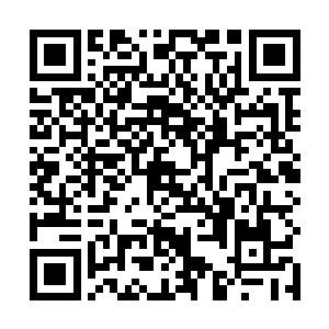 嘴里说着的万俟剑寒眼角一撇那高高悬浮这的积分榜单二维码生成