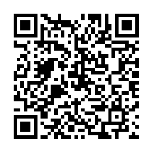 嘴里还咬着一块石头的药农刚好从秦宇和小九两人身边路过二维码生成