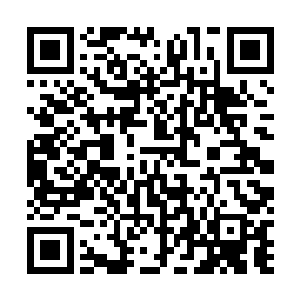 嘶……魔族除却魔王外最尊贵的大公主竟然亲自前来迎接二维码生成