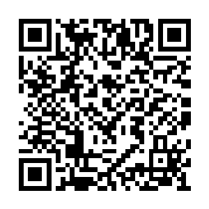 嘿嘿……本以为新来的统领是个虚灵后期的高手二维码生成