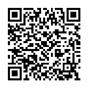 嘿嘿不知道我们的出现会不会给对方什么惊讶呢二维码生成