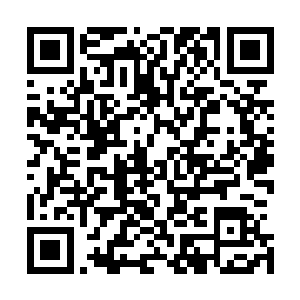 器一和器二便进入到时间阵法中开始了艰苦的提炼材料之中二维码生成