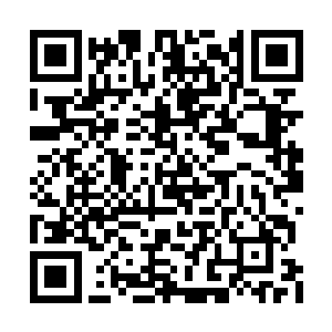 噬仙妖花卷起剑尘扔给它的两具无极始境的尸体二维码生成