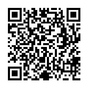噬金蚁一离开灵兽袋就被张潇晗驱使着向石洞内狂涌而入二维码生成