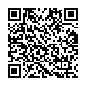 噬金蚁围着巨石飞了一圈就远远离开巨石落在山洞四壁二维码生成